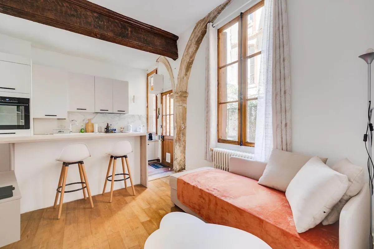 L'Arche Des Carmes - Confort Et Calme Hyper-Centre Toulouse Frankreich